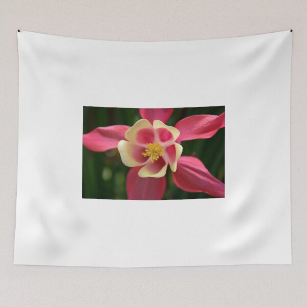 Item preview, Pink Columbine. designed and sold by Lee d'Entremont.