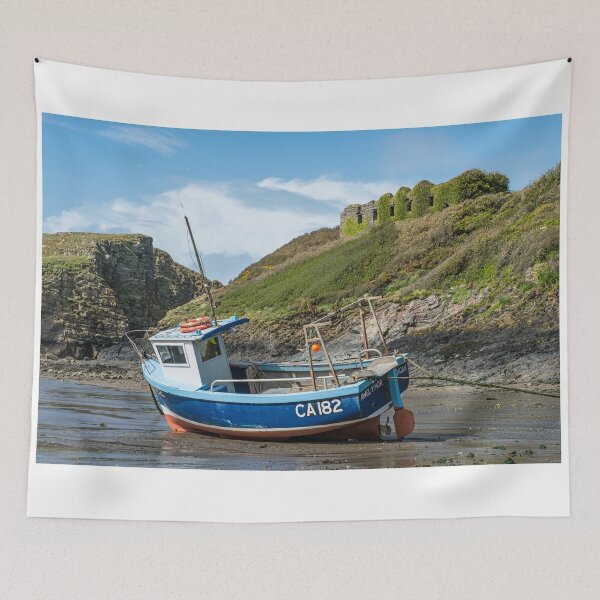 Item preview, Beached Boat Abercastle designed and sold by Cameranick.