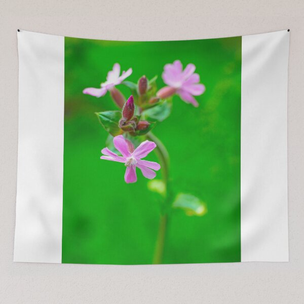 Item preview, The Campion  designed and sold by Cameranick.