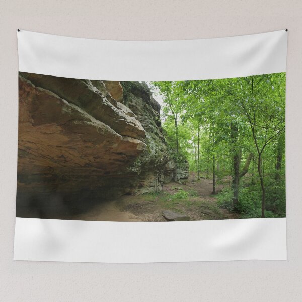 Item preview, Devil's Standtable Nature Trail #1 designed and sold by Daniel Owens.