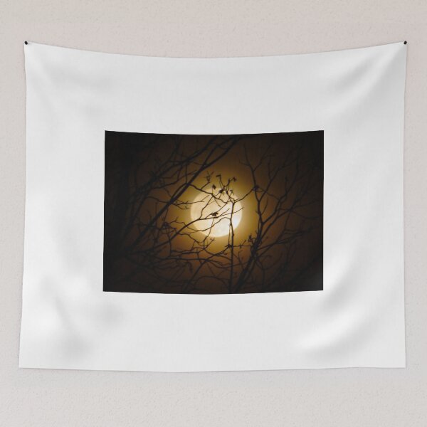 Item preview, The Moon designed and sold by WildestArt.