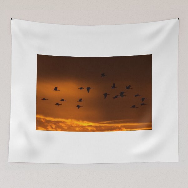 Item preview, Sunset Ibis designed and sold by byronbackyard.
