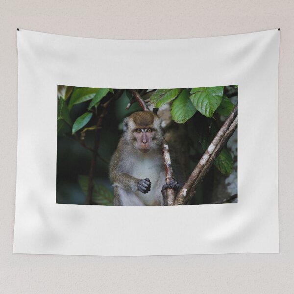 Item preview, Long-Tailed Macaque designed and sold by Jeremy Weiss.