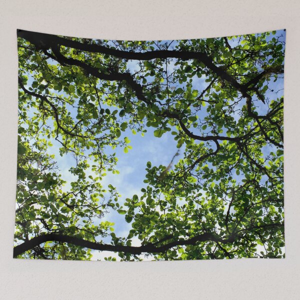 Item preview, Spring designed and sold by Matthew Streacker.