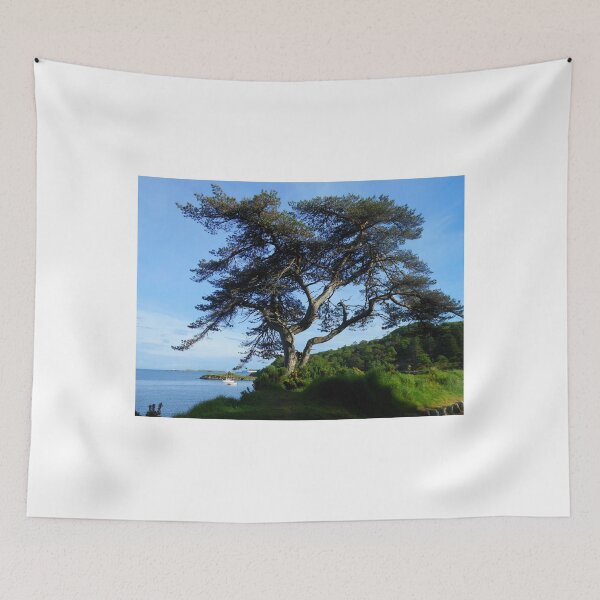 Item preview, A Lone Tree in Lews Castle Grounds designed and sold by BlueMoonRose.