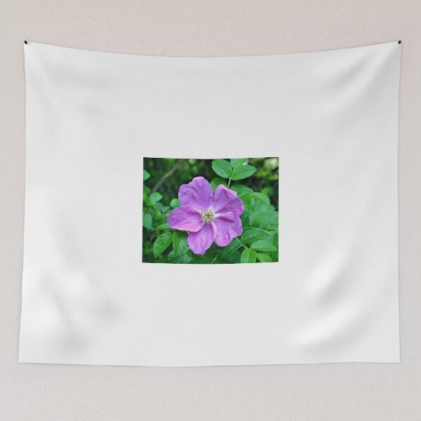 Item preview, Purple Wild Rose designed and sold by Scott Mitchell.