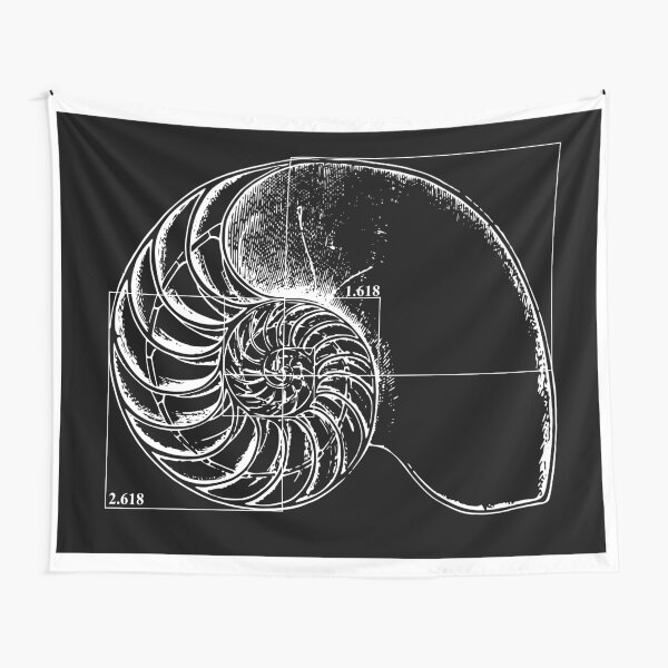 Fibonacci discount void tapestry