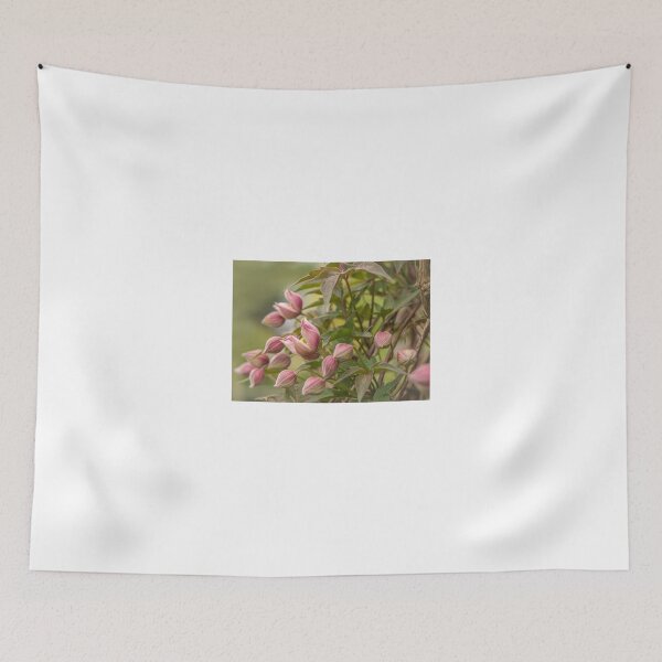 Item preview, Clematis in bud designed and sold by Judi Lion.