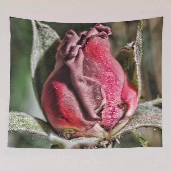 Item preview, Rose Bud designed and sold by bloomingvine.