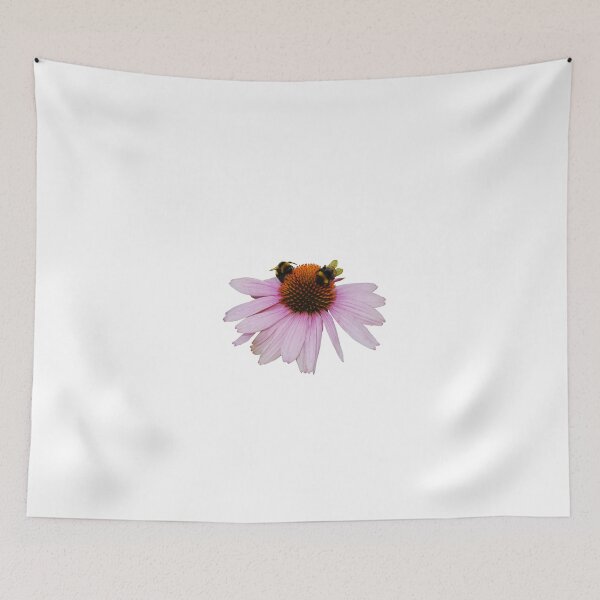 Item preview, Echinacea Purpurea on White Background designed and sold by jojobob.