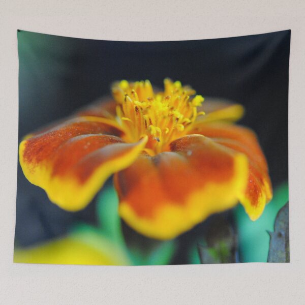 Artikelvorschau, Ringelblume mit Pollen entworfen und verkauft von bloomingvine.
