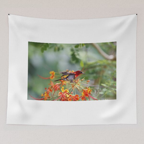 Item preview, Crimson Sunbird designed and sold by Jeremy Weiss.