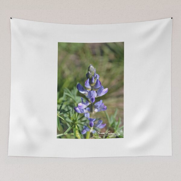 Item preview, barwon park garden at winchelsea designed and sold by brittavanden.