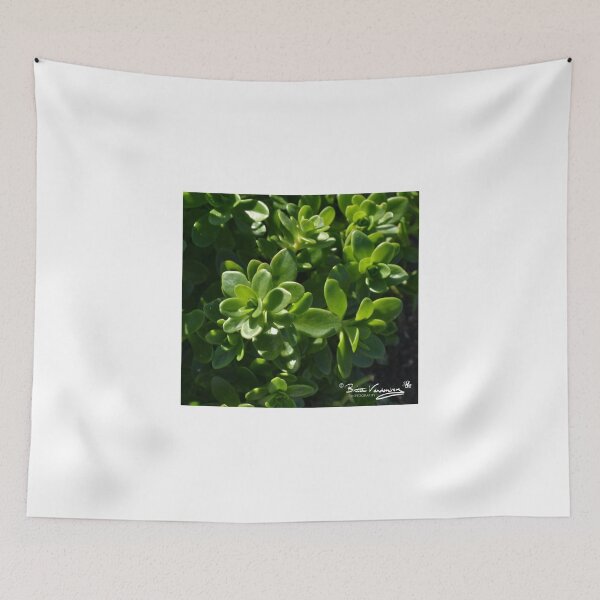 Item preview, barwon park garden at winchelsea designed and sold by brittavanden.