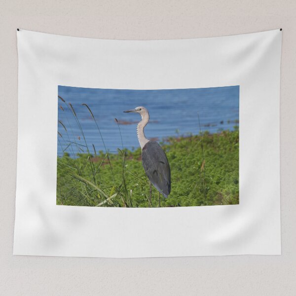 Item preview, Contemplation designed and sold by byronbackyard.