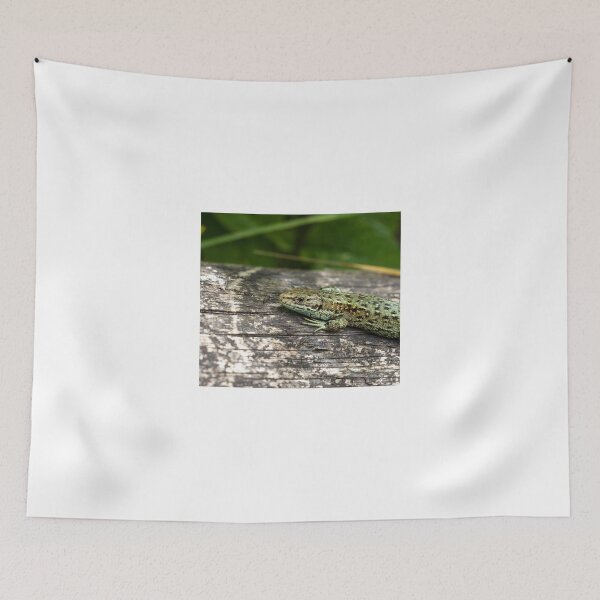 Item preview, Common Lizard designed and sold by Sue Robinson.