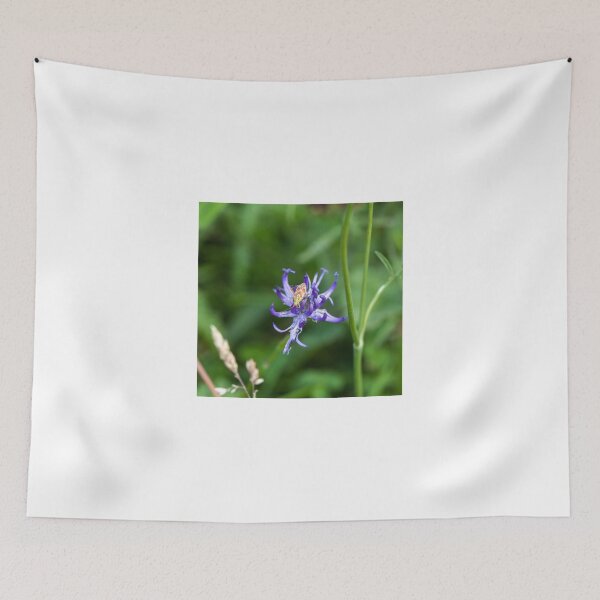 Item preview, Plant Bug Calocoris Roseomaculatus designed and sold by Sue Robinson.