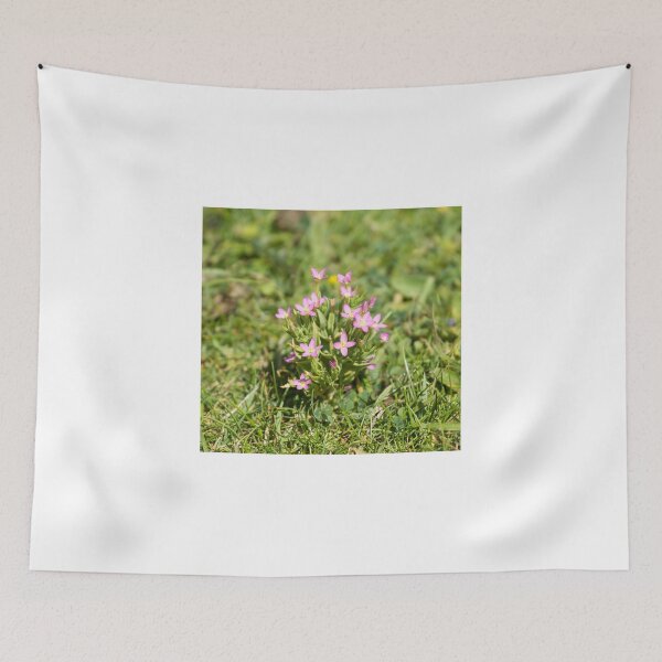 Item preview, Lesser Centaury designed and sold by Sue Robinson.