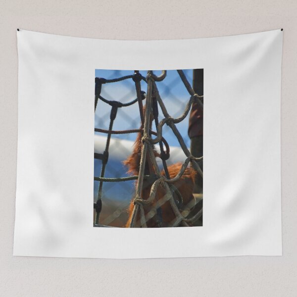 Item preview, An Orange Arm at Monkey World, Dorset UK designed and sold by lynn carter.