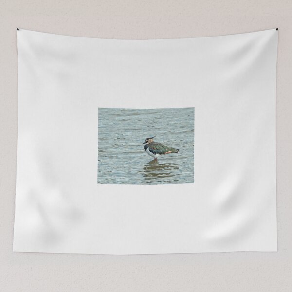 Item preview, Northern Lapwing designed and sold by Sue Robinson.