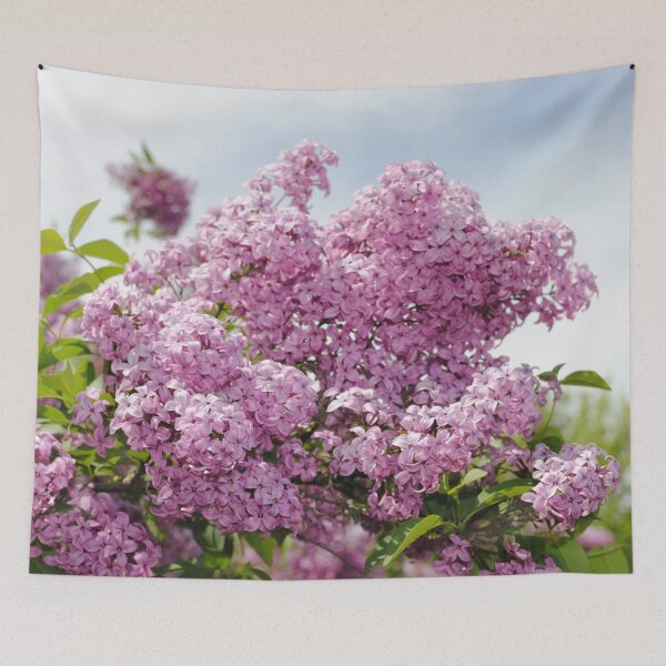Item preview, Lilacs designed and sold by bloomingvine.