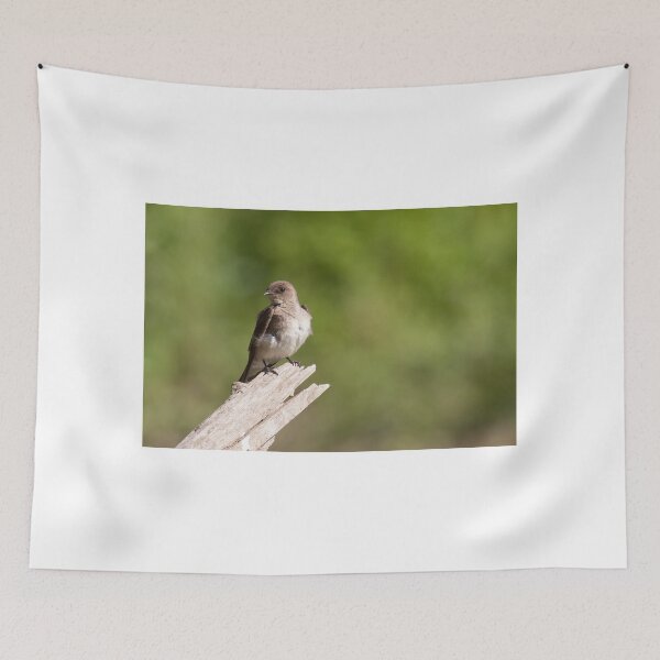 Item preview, Tiny designed and sold by EugeJ.