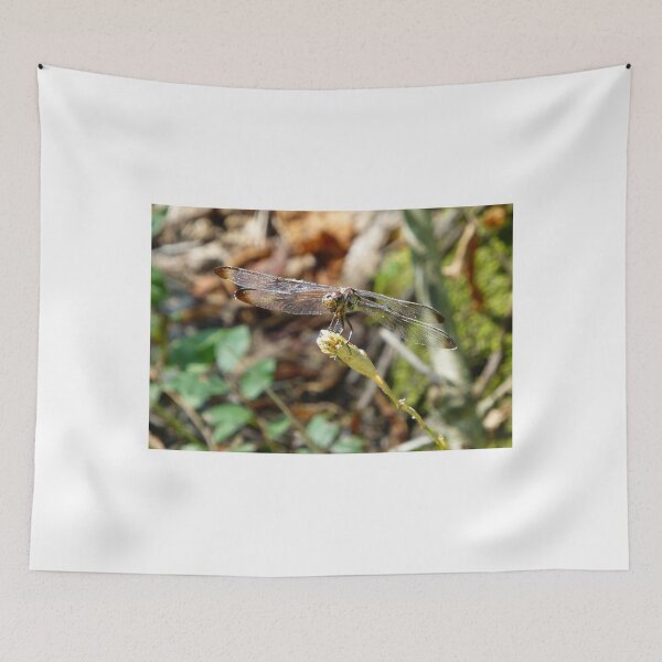 Item preview, Looking At YOU! designed and sold by WildestArt.
