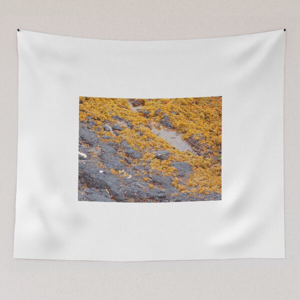 Item preview, Sea Weed designed and sold by ELUNED.