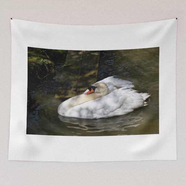 Item preview, Mute Swan Resting In The Shadows designed and sold by Dorset Girl.