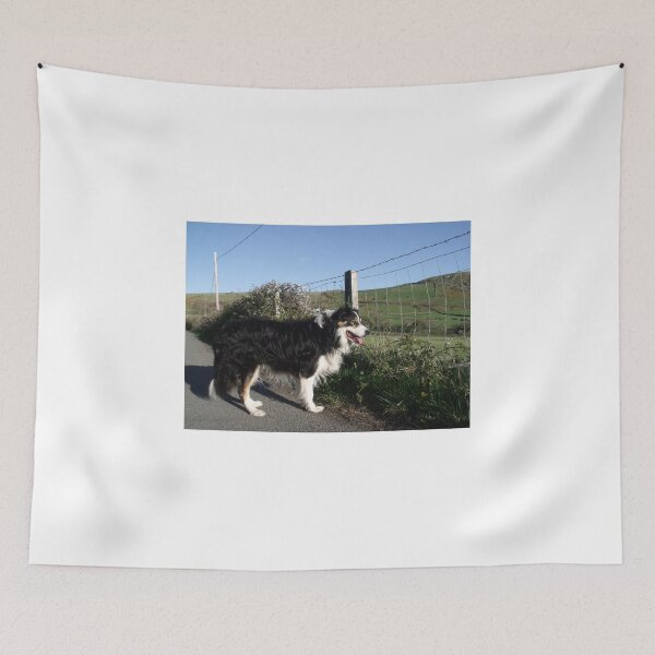 Item preview, Walking with Laddie. designed and sold by Michael Haslam.