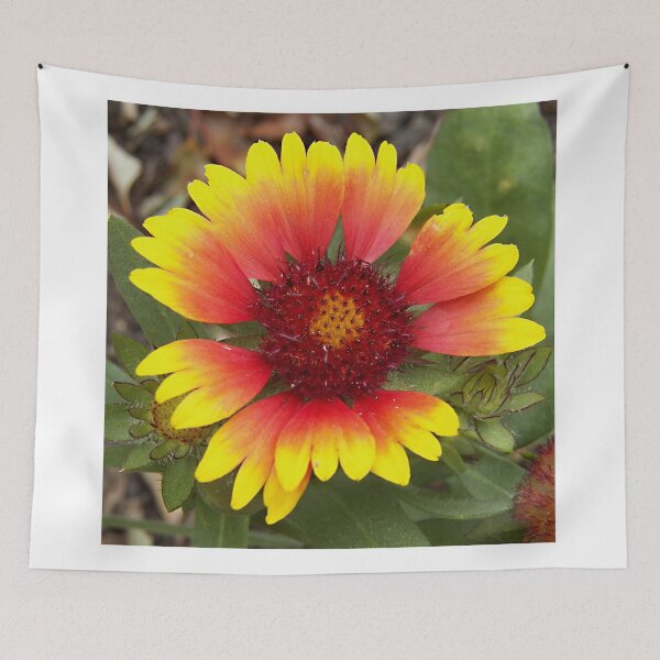 Item preview, Orange Daisy designed and sold by coribeth.