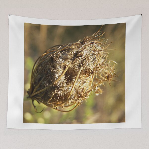 Item preview, Milkweed designed and sold by coribeth.