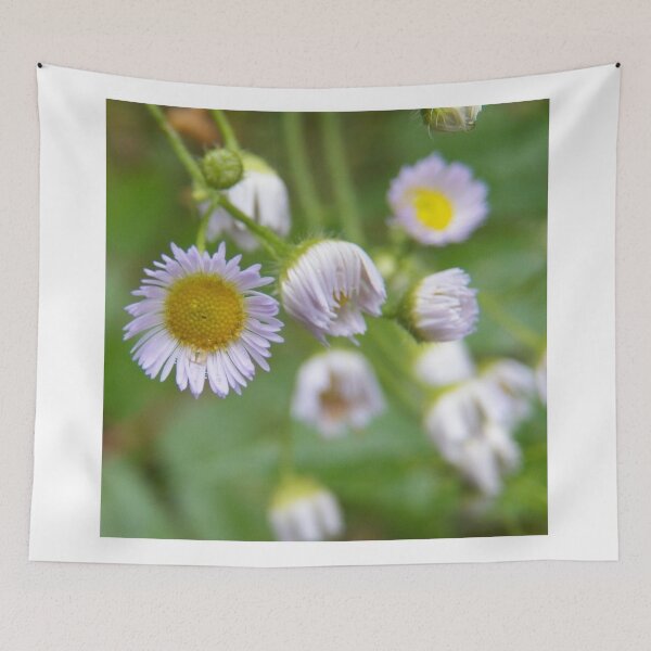 Item preview, Wild Daisy designed and sold by coribeth.