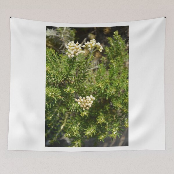 Item preview, AUSTRALIAN BUSH FLOWER designed and sold by kazaroodie.