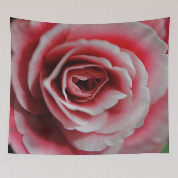 Item preview, Pink Begonia Close Up designed and sold by bloomingvine.