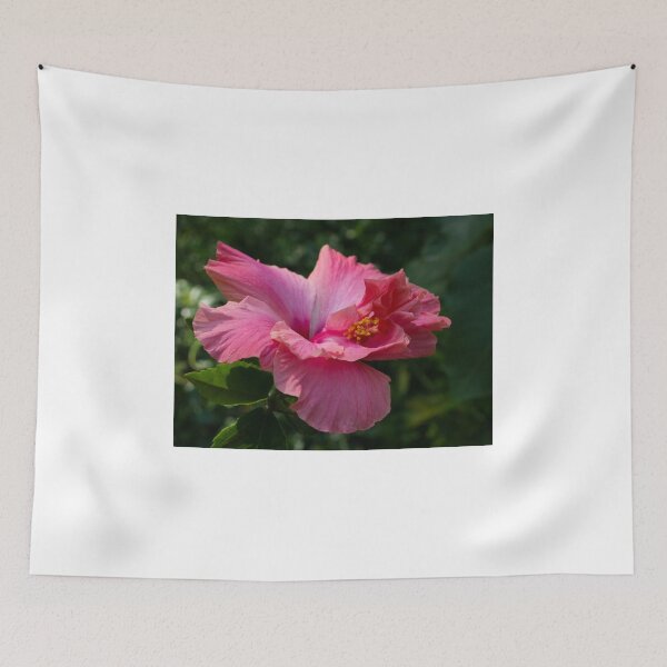 Item preview, Hibiscus in my garden designed and sold by RGKphotos.