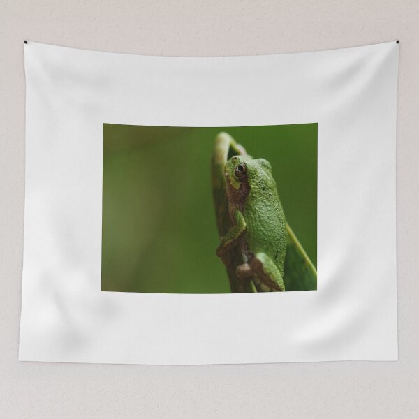 Item preview, Frog designed and sold by ikshvaku.