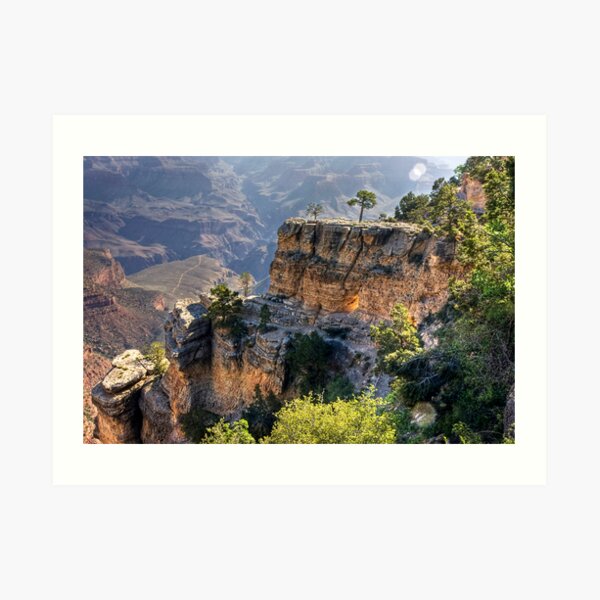 Capturing the View Art Print