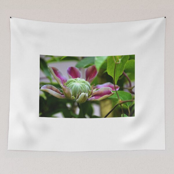 Item preview, Clematis at the Town Garden Gates...... designed and sold by lynn carter.
