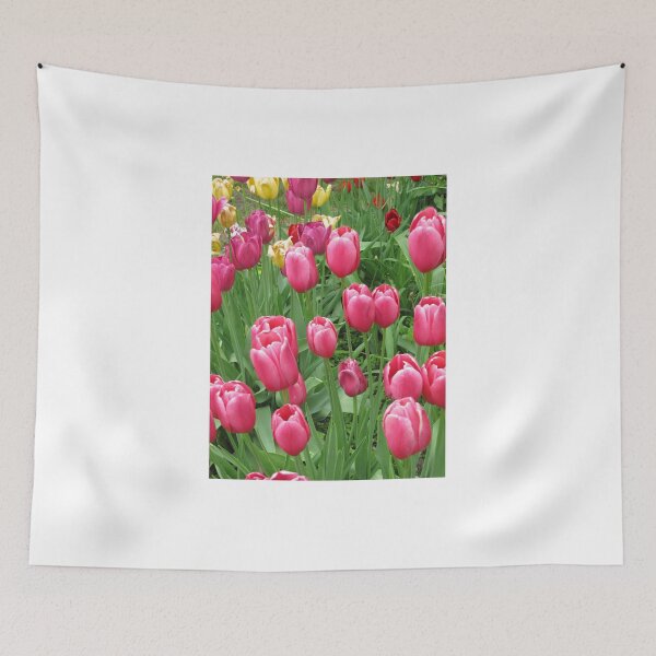 Item preview, Early Spring Colorful Tulips photograph  designed and sold by adriturner.