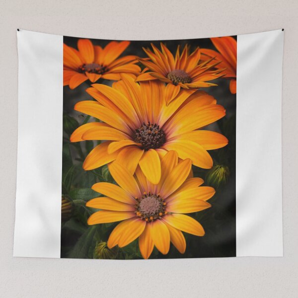Item preview, Stuck On You designed and sold by Philippe Sainte-Laudy.