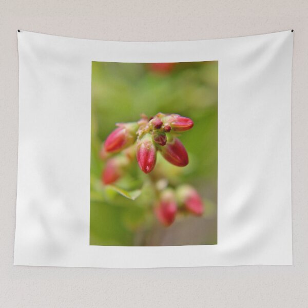 Item preview, Wild Blueberry Buds designed and sold by Kathleen Daley.