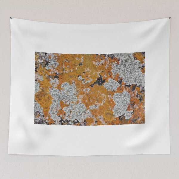 Item preview, Liken Lichen 2 designed and sold by teresa engelhard.