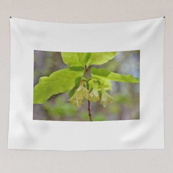 Item preview, Canadian Fly Honeysuckle II designed and sold by Kathleen Daley.