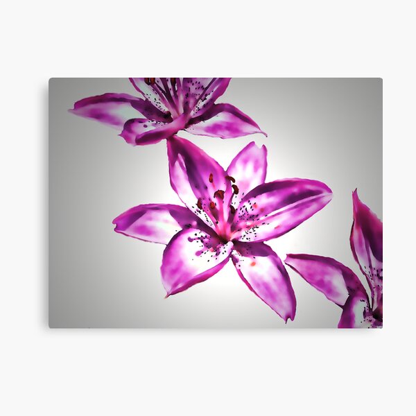 Light Purple Canvas Print