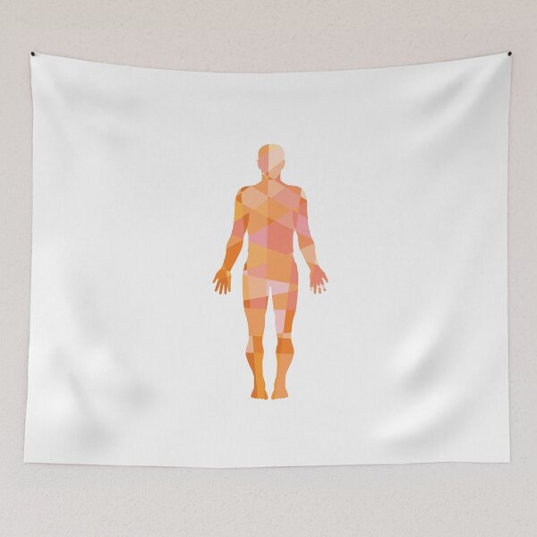 Item preview, Human Muscular System Anatomy Low Polygon designed and sold by patrimonio.