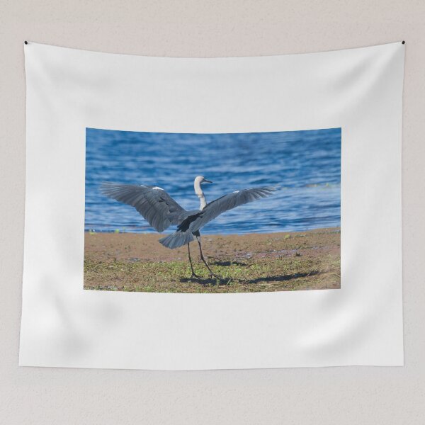 Item preview, Dainty Dancer designed and sold by byronbackyard.