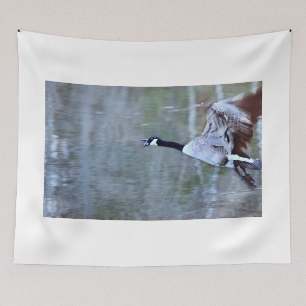 Item preview, Evening flight designed and sold by Laurie Minor.