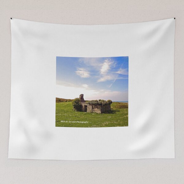 Aperçu de l'œuvre Ireland - Ruins of House créée et vendue par jezebel521.