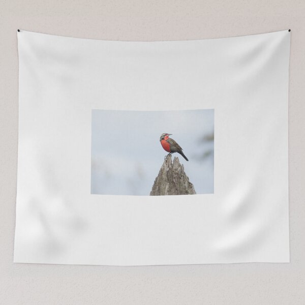 Item preview, 51015 my better side designed and sold by pcfyi.
